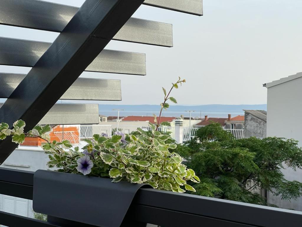Villa Jadranka Apartments ทูแชพี ภายนอก รูปภาพ